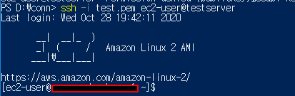 image-20201028194408420